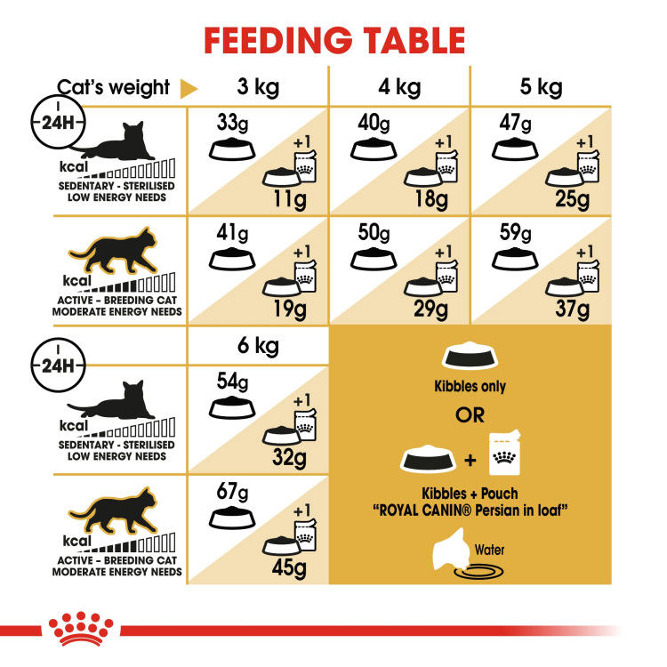 Royal Canin  Persian Adult 10 kg_thumbnail_2