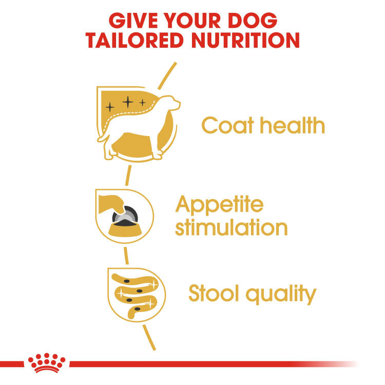 Royal Canin Yorkshire Adult (Wet Food - Pouches) 12 x 85 g_thumbnail_2