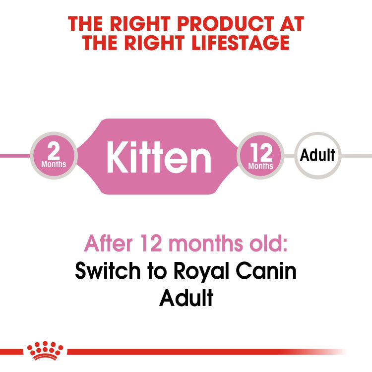 Royal Canin Kitten 10 kg_thumbnail_3