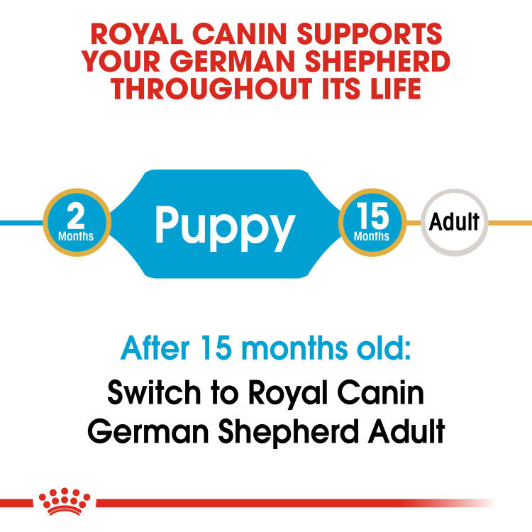 Royal Canin German Shepherd Puppy 3 kg_thumbnail_2