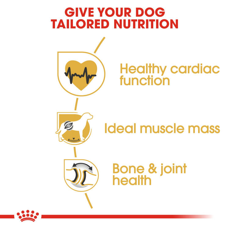 Royal Canin Rottweiler Adult 12 kg_thumbnail_2