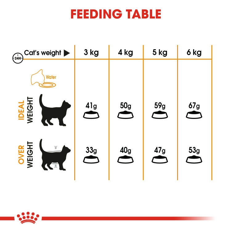 Royal Canin Hair & Skin 2 kg_thumbnail_5