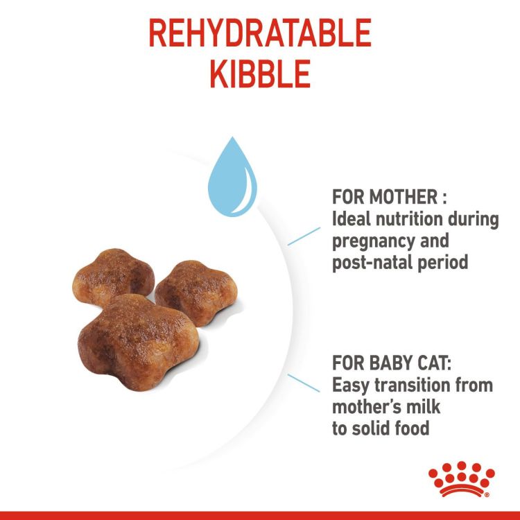 Royal Canin Mother and Babycat 2 kg_thumbnail_1