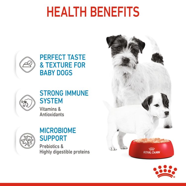 Royal Canin Starter Mousse (Wet Food - Cans) 12 x 195 g_thumbnail_3