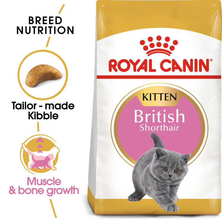 Royal Canin British Shorthair Kitten 2 kg_thumbnail_0