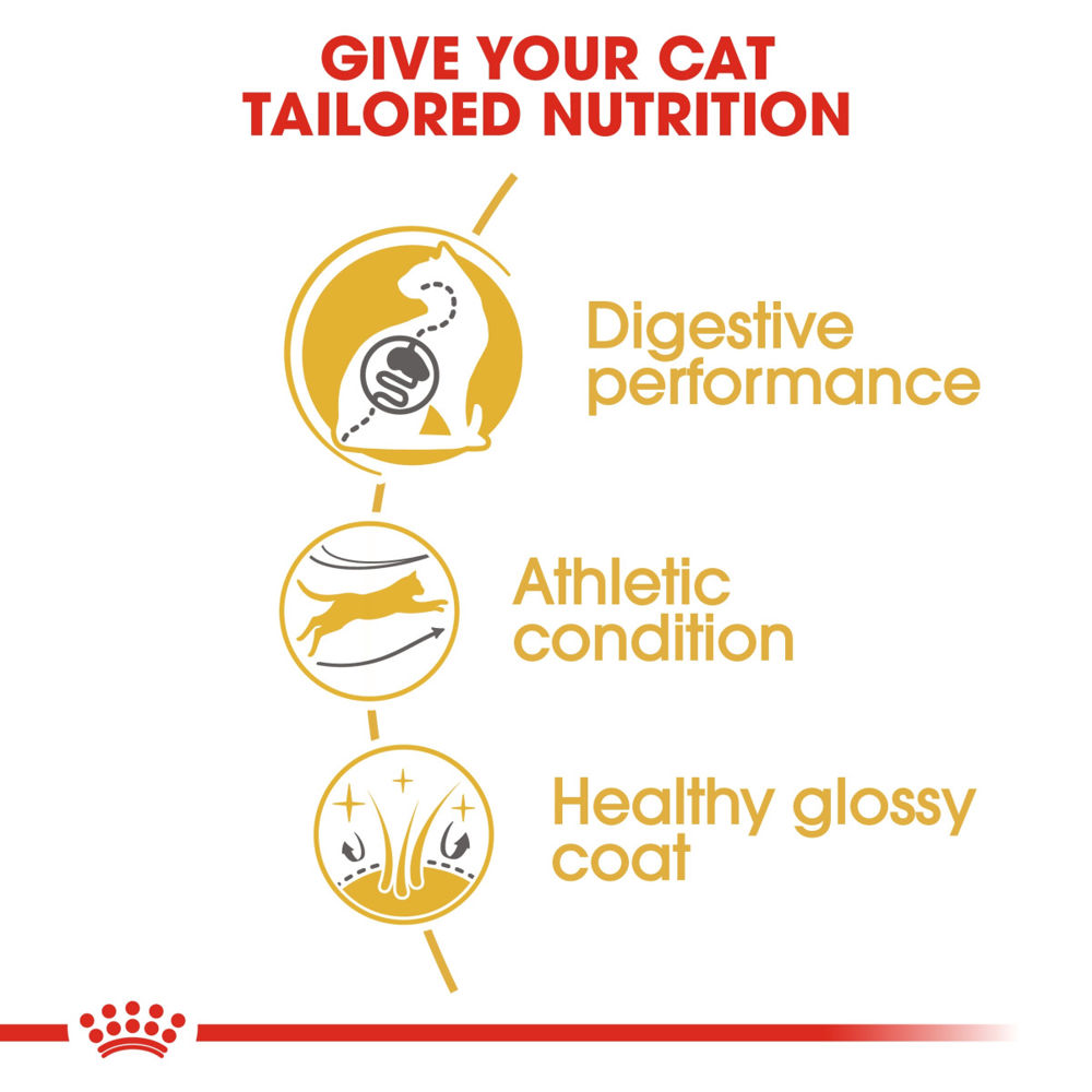 Feline Breed Nutrition Bengal Adult 2 kg_thumbnail_1