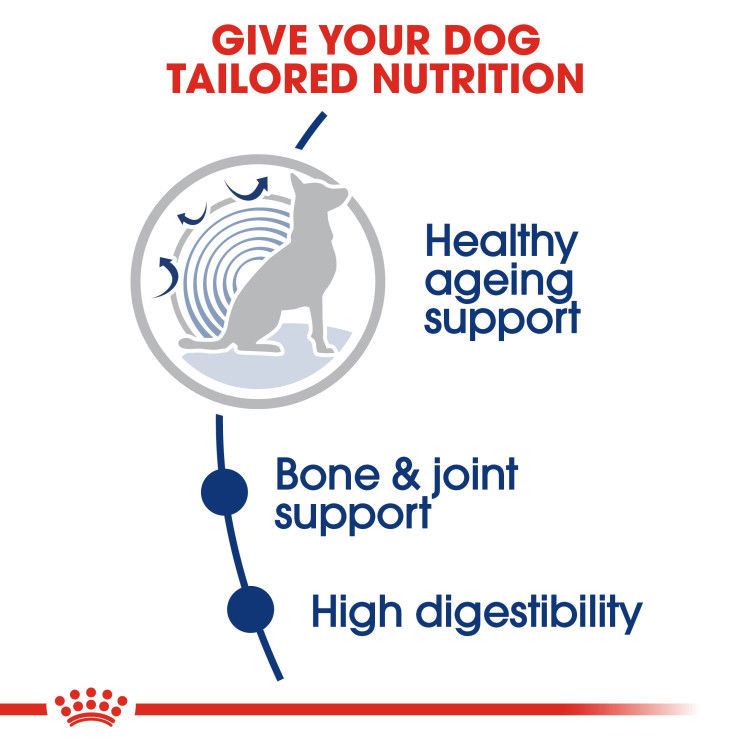 Royal Canin Maxi Ageing 8+ 15 kg_thumbnail_5