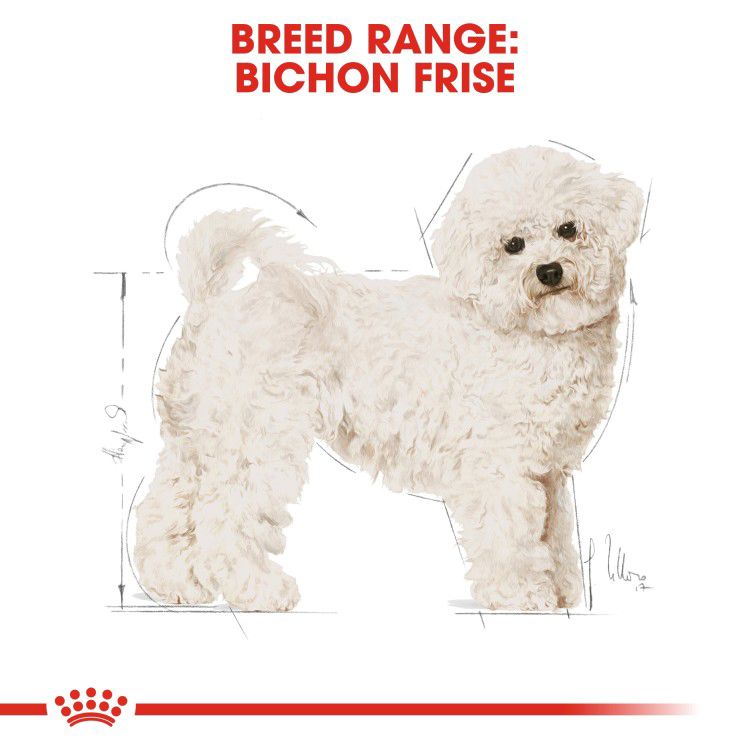 Royal canin Bichon Frise Adult 1.5 kg_thumbnail_1