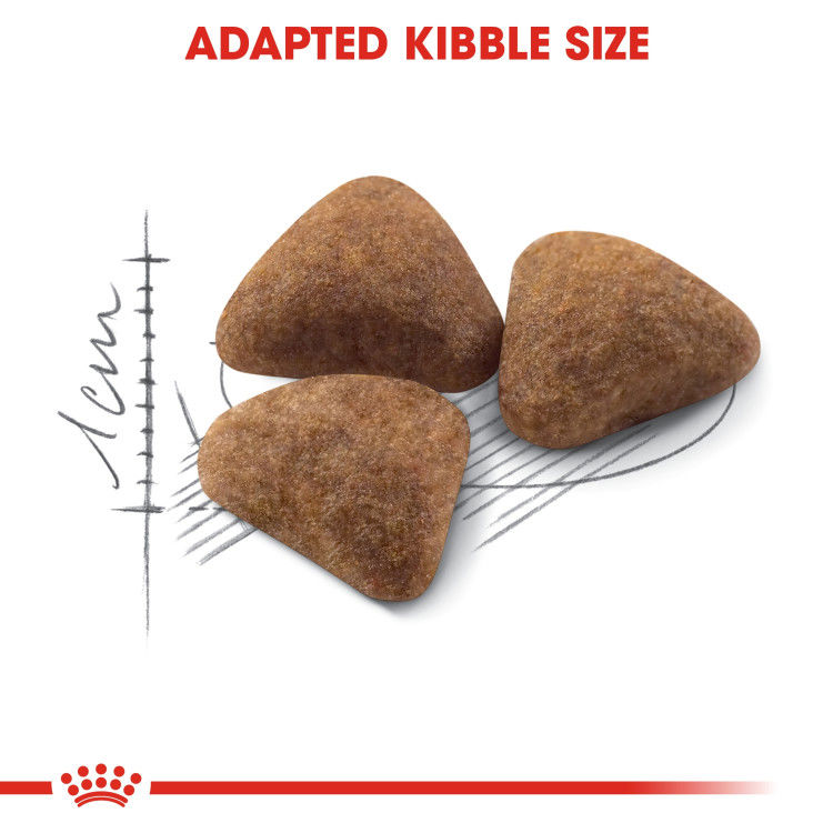 Royal Canin Indoor 10 kg_thumbnail_4