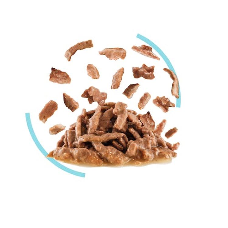 Royal Canin Sensory Feel Gravy (Wet Food - Pouches) 12 x 85 g_thumbnail_2
