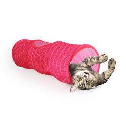 Modern Cat Tunnel Blue/pink  _thumbnail_2