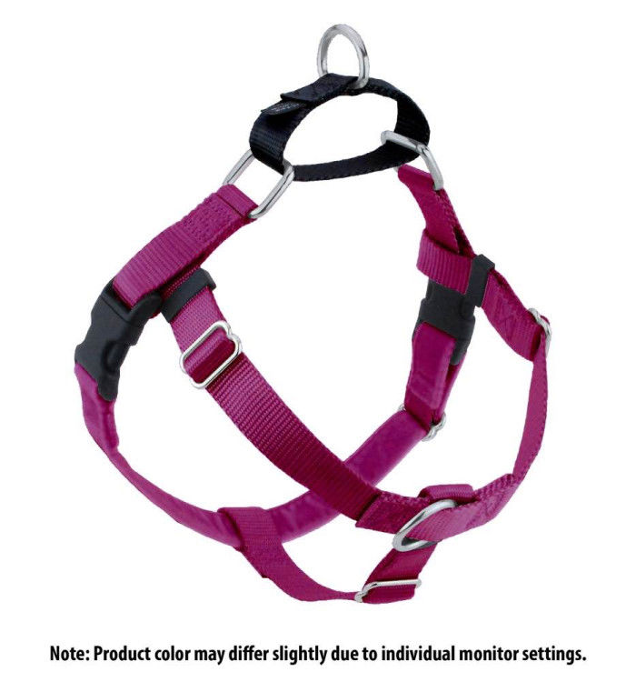 Freedom No-Pull Harness and Leash - Raspberry / Medium 1"_thumbnail_1