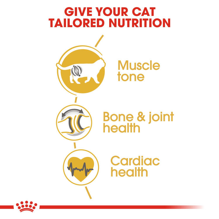 Feline Breed Nutrition British Shorthair Adult 4 kg_thumbnail_5
