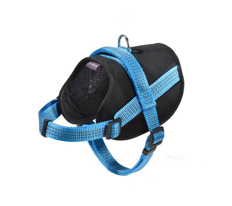 Easy Safe Harness Blue, XSmall_thumbnail_0