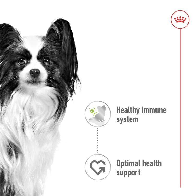  Royal Canin XS Adult (Wet Food - Pouches) 12 x 85 g_thumbnail_1