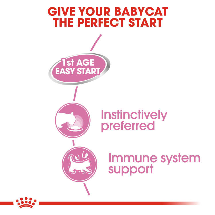Royal Canin Mother & Babycat Mousse (Wet Food - Cans) 12 x 195 g_thumbnail_3