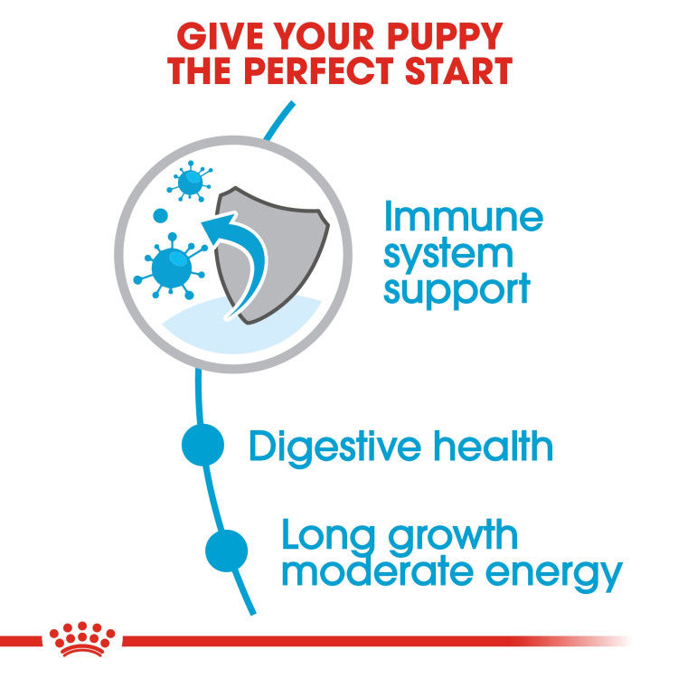 Royal Canin Maxi Puppy 10 kg_thumbnail_2