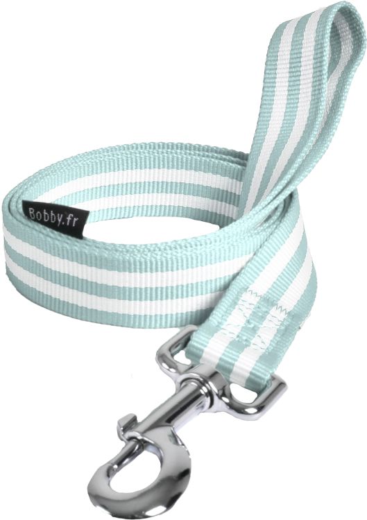 Leash Stripe Lagoon Large_thumbnail_0