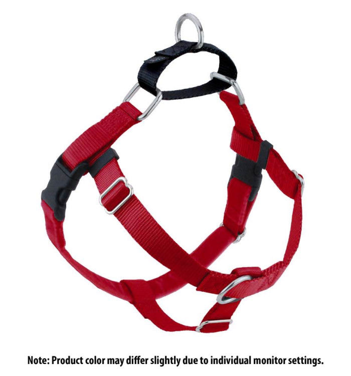 Freedom No-Pull Harness and Leash - Red / Small 5/8"_thumbnail_4