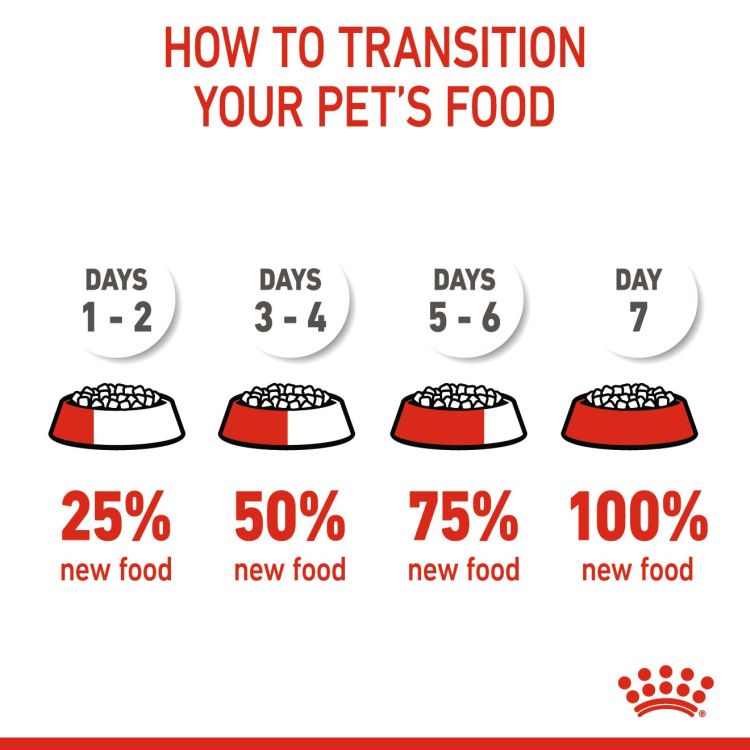 Royal Canin Kitten 4 KG _thumbnail_5