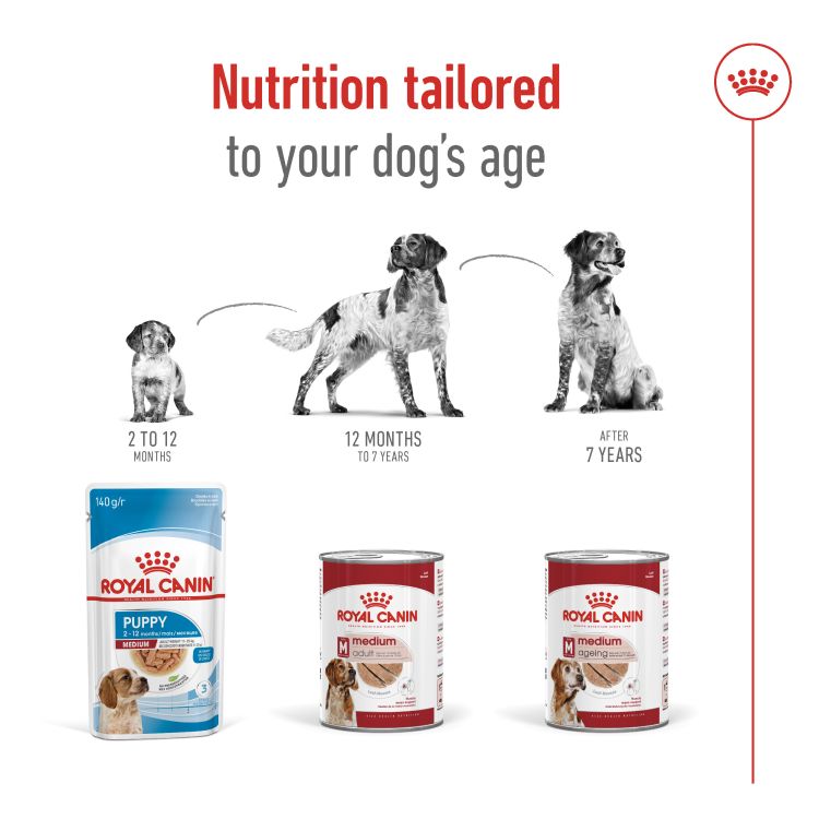 Royal Canin Medium Adult (Wet Food - Can) 12 x 410 g_thumbnail_3