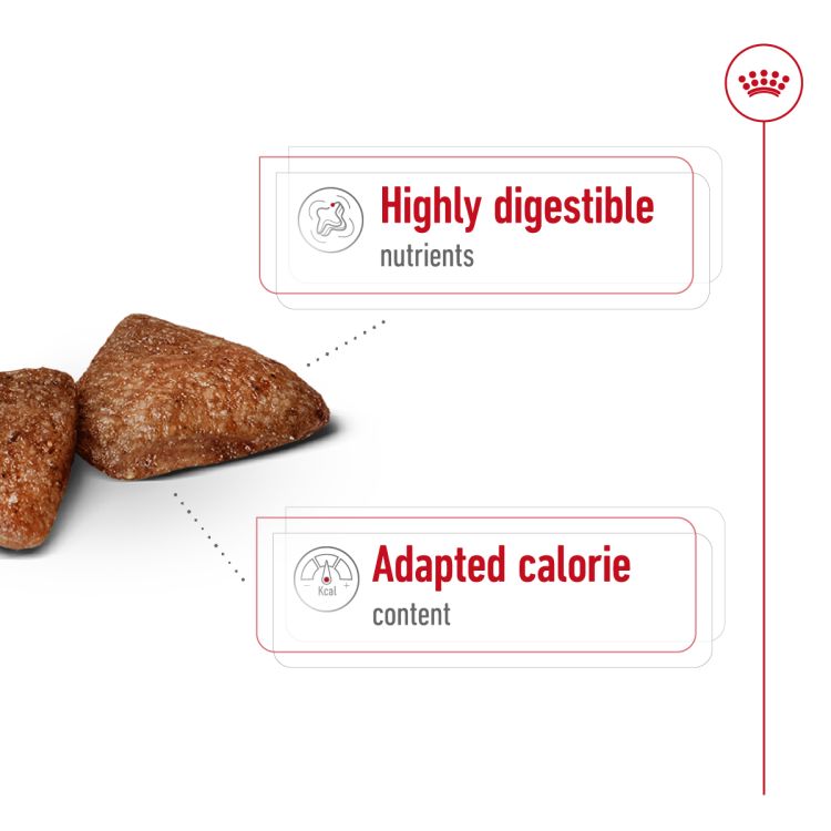 Royal Canin Mini Indoor Adult 1.5 kg_thumbnail_2