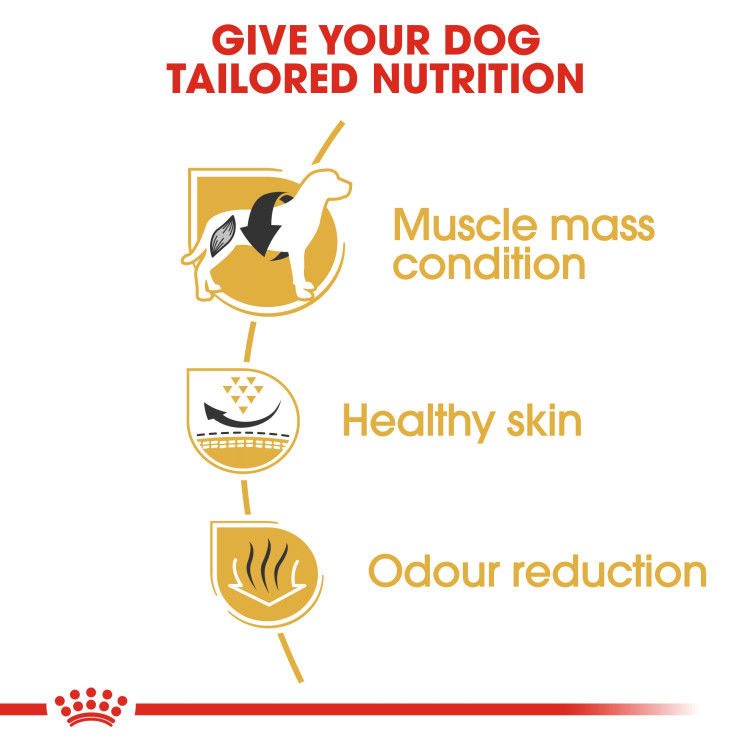 Royal Canin French Bulldog Adult 3 kg_thumbnail_1