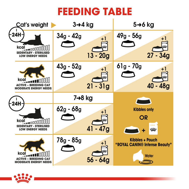 Royal Canin Ragdoll Adult 2 kg_thumbnail_2
