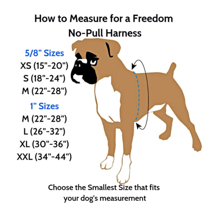 Freedom No-Pull Harness and Leash - Black / Medium 5/8_thumbnail_3