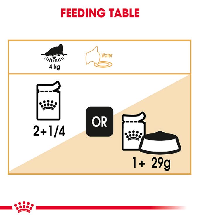 Royal Canin Persian (Wet Food - Pouches) 12 x 85 g_thumbnail_2