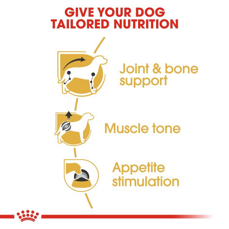 Royal Canin Dachshund Adult (Wet Food - Pouches) 12 x 85 g_thumbnail_3