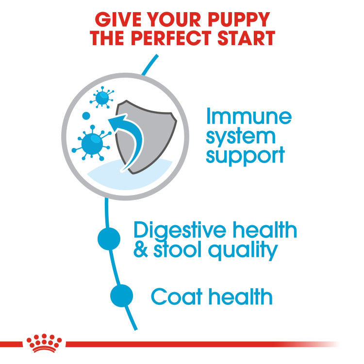 Royal Canin Mini Indoor Puppy 1.5 kg_thumbnail_4