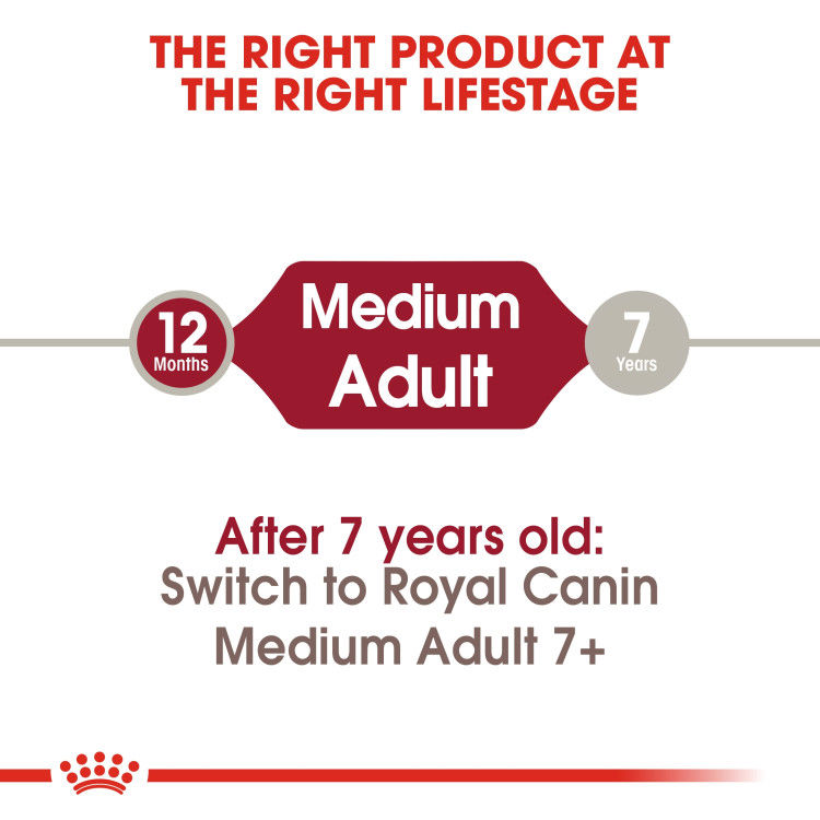 Royal Canin Medium Adult 4 Kg _thumbnail_1