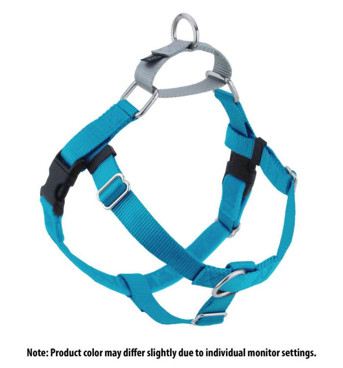 Freedom No-Pull Harness and Leash - Turquoise / Large 1"_thumbnail_1
