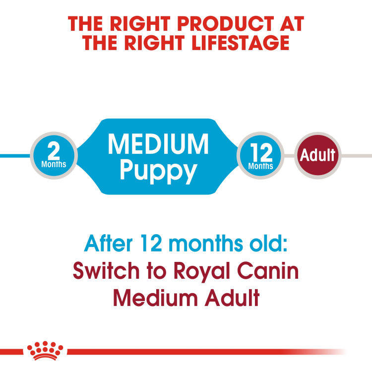 Royal Canin Medium Adult 4 kg_thumbnail_1