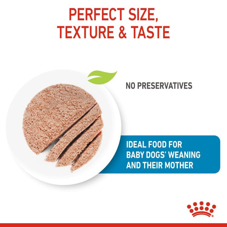 Royal Canin Starter Mousse (Wet Food - Cans) 12 x 195 g_thumbnail_4