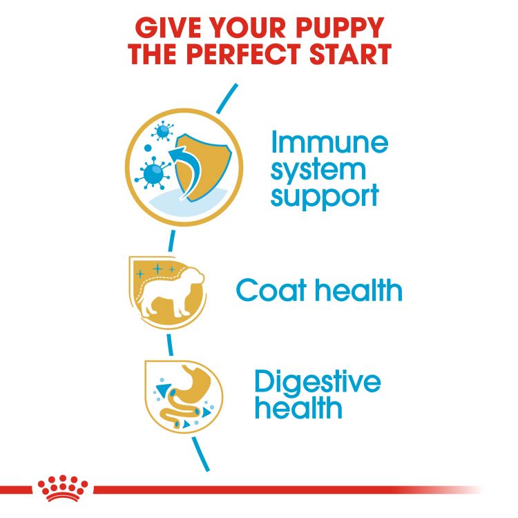 Royal canin Poodle Puppy 3 kg_thumbnail_2