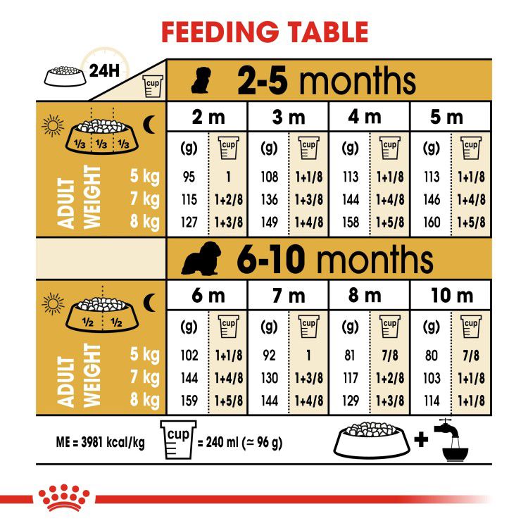 Royal Canin Cavalier King Charles Puppy 1.5 kg_thumbnail_3