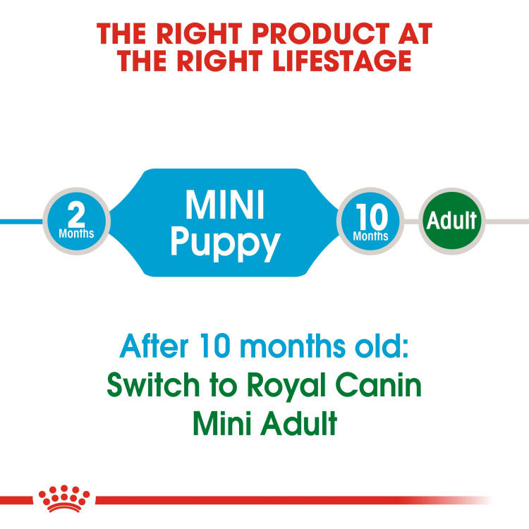 Royal Canin Mini Puppy 2 kg_thumbnail_2