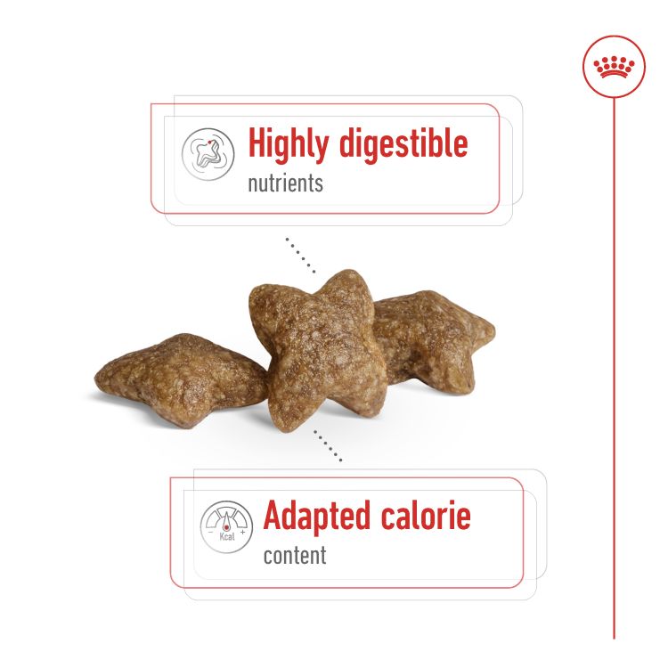 Royal Canin Mini Adult 8 Kg _thumbnail_2