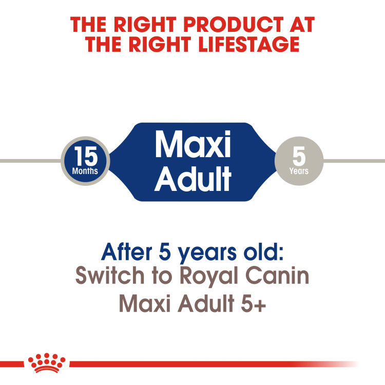 Royal Canin Maxi Adult 4 kg_thumbnail_5