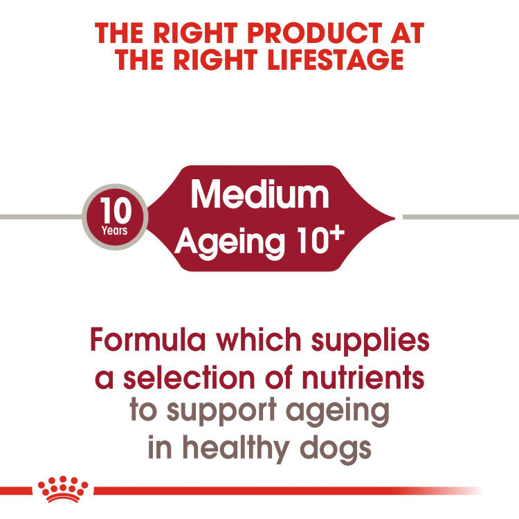 Royal Canin Medium Ageing 10+ 3 kg_thumbnail_1
