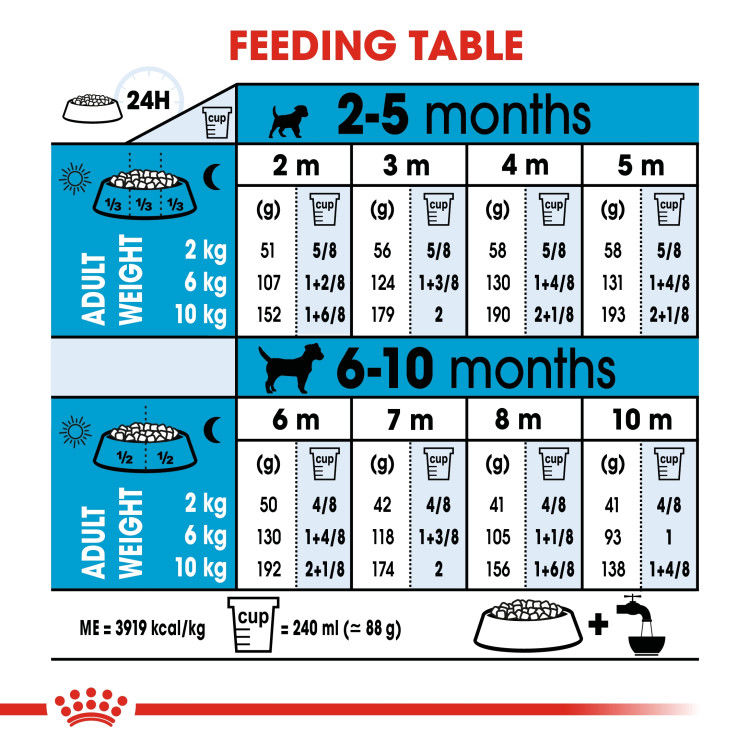 Royal Canin Mini Indoor Puppy 1.5 kg_thumbnail_2