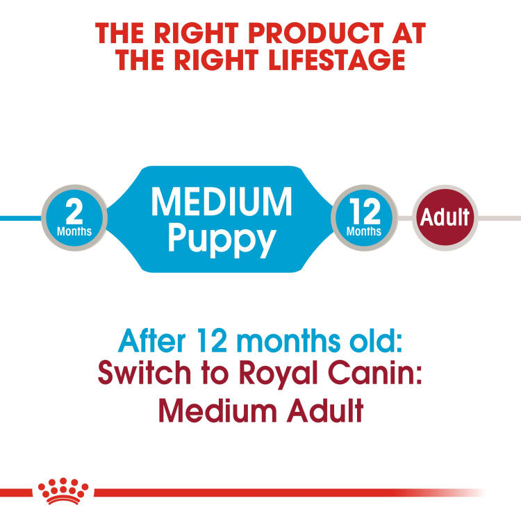 Royal Canin Medium Puppy (Wet Food - Pouches) 10 x 140 g_thumbnail_2