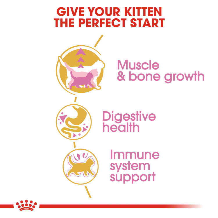 Royal Canin British Shorthair Kitten 2 kg_thumbnail_1