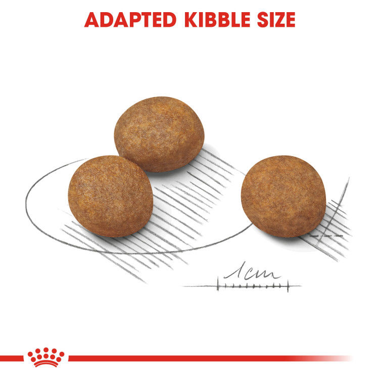 Royal Canin Maxi Puppy 10 kg_thumbnail_1
