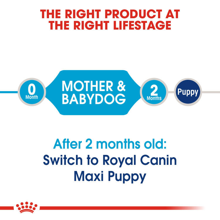 Royal Canin Maxi Starter 15 Kg _thumbnail_5
