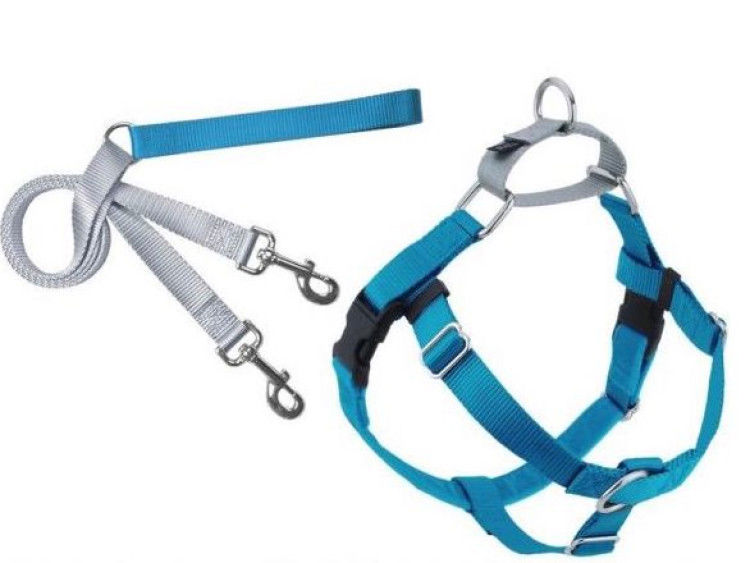 Freedom No-Pull Harness and Leash - Turquoise / Large 1"_thumbnail_0