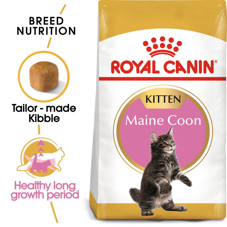 Royal Canin Maine Coon Kitten 2 kg_thumbnail_0