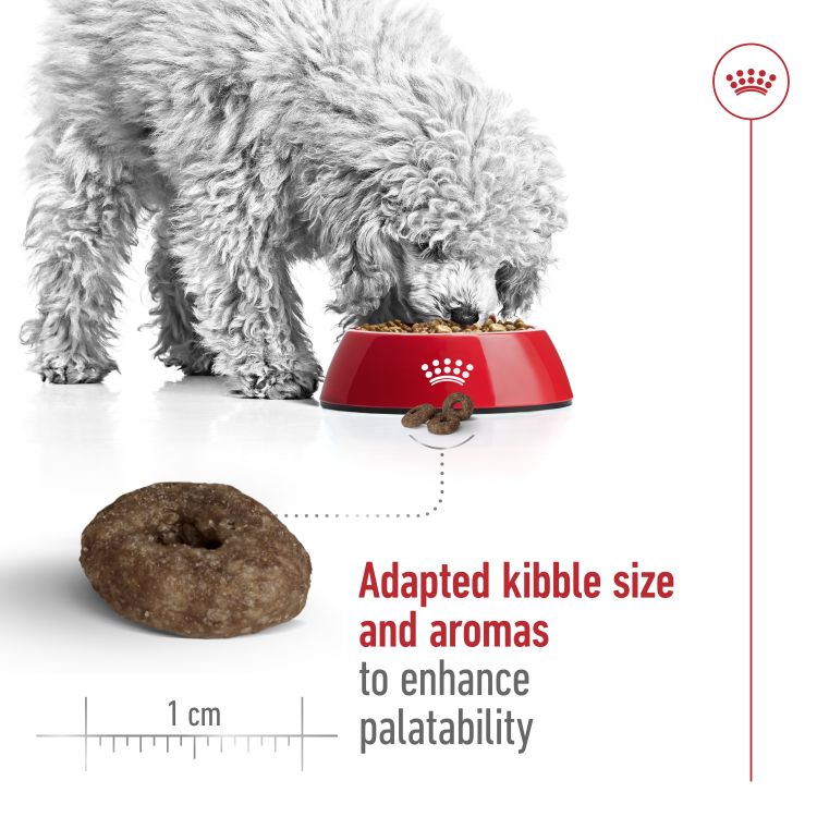 Royal Canin Mini Ageing 12+ 1.5 kg_thumbnail_3